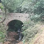 Vft Sendero Cerezuelo
