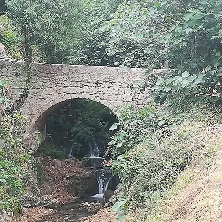Vft Sendero Cerezuelo