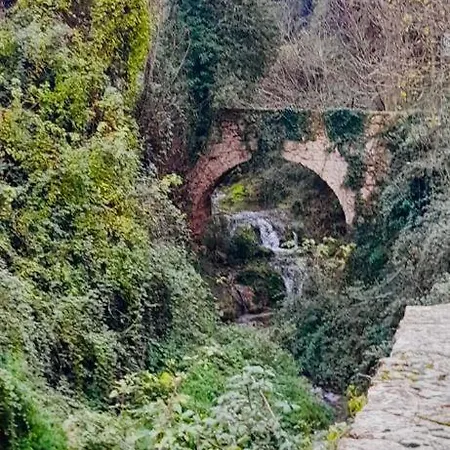 Vft Sendero Cerezuelo *